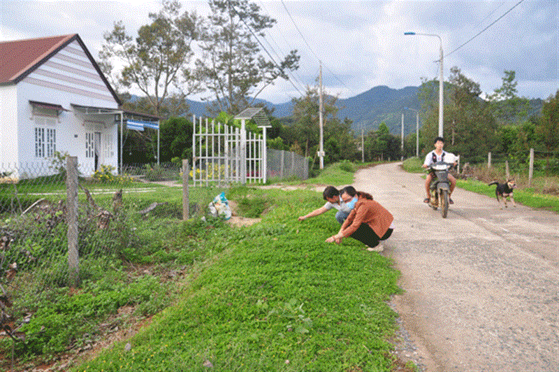Chị em phụ nữ chăm sóc hoa cỏ lạc đường Phan Đình Phùng, thị trấn Đạ M’ri. Ảnh: V.T